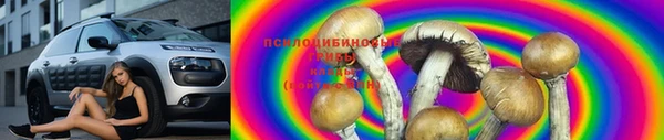 PSILOCYBIN Армянск